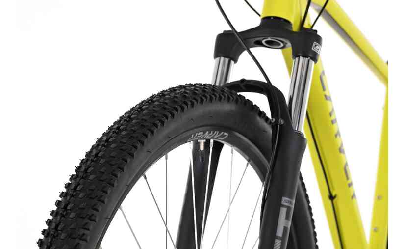 Carver Strict 110 - 29 Zoll - Diamant - 2024 Sonderangebot