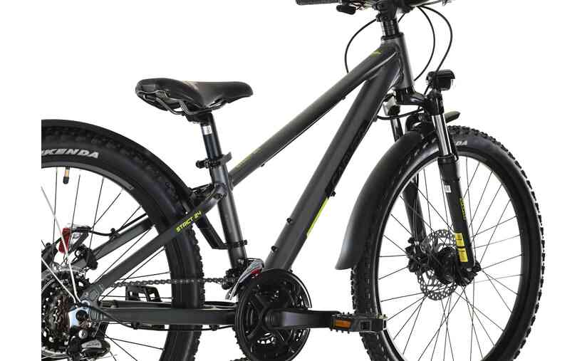 Carver Strict 24 HD Street - 24 Zoll - Diamant - 2024 Top Angebot