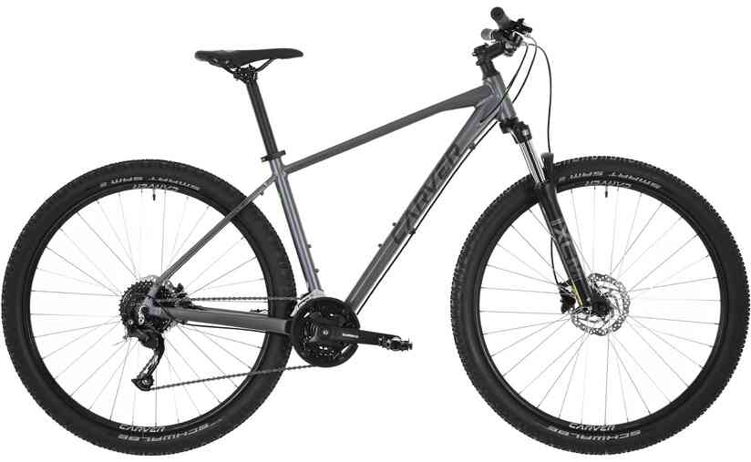 Carver Strict 120 - 29 Zoll - Diamant - 2024 VIP-Rabatte