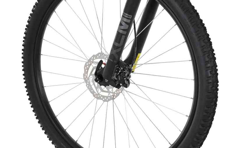 Carver Strict 120 - 29 Zoll - Diamant - 2024 VIP-Rabatte