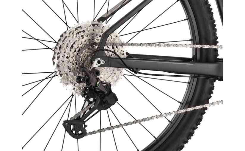 Carver Strict 170 - 29 Zoll - Diamant - 2025 Black Friday